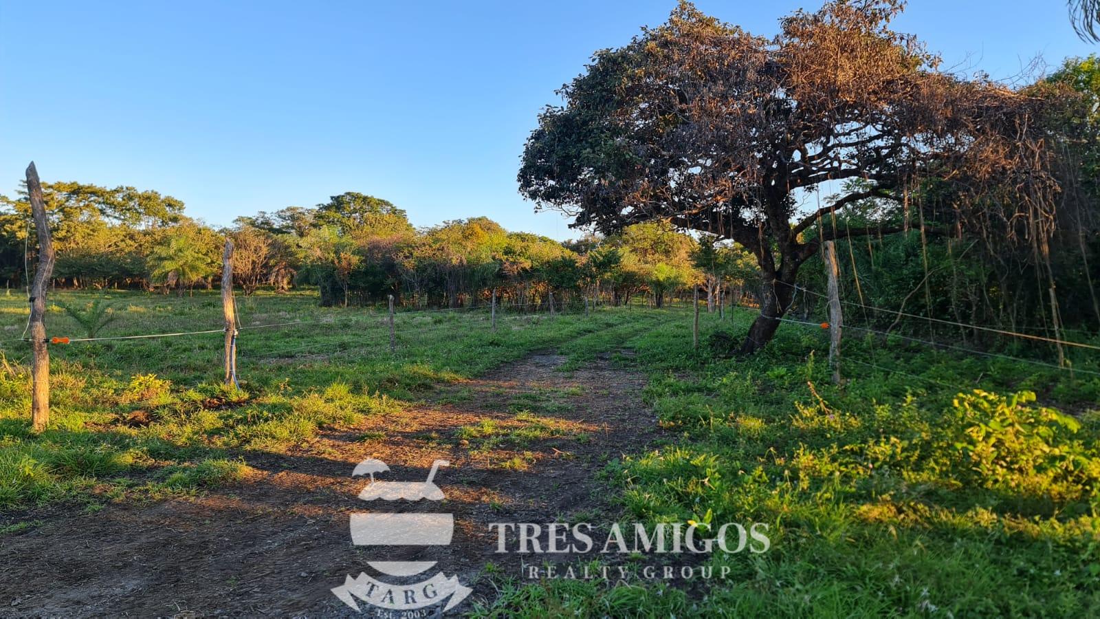 MOUNTAIN VIEW ECOFARM Playas del Coco Properties Costa Rica Real